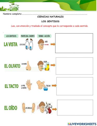Los sentidos