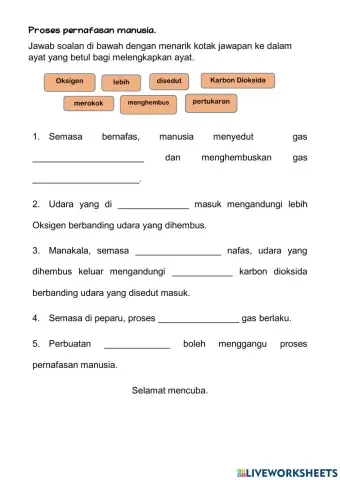 Proses pernafasan manusia