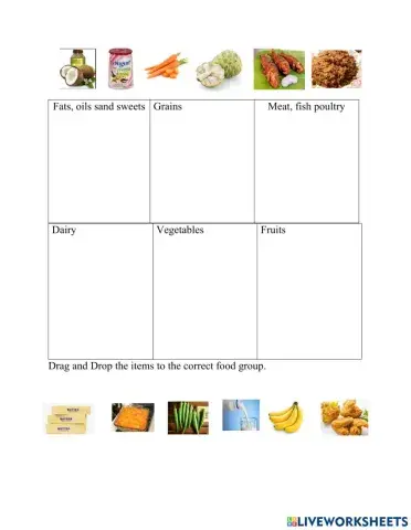 Food Groups Conclusion