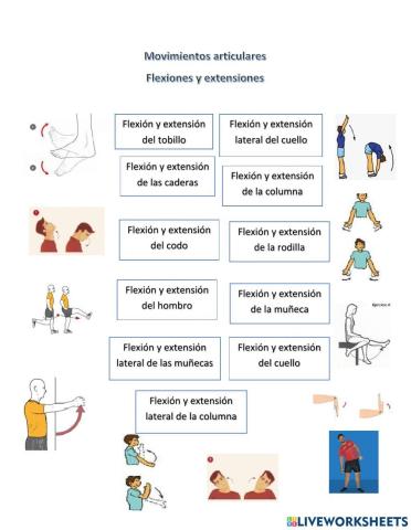 Flexión y extensión