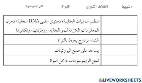 تركيب النواة