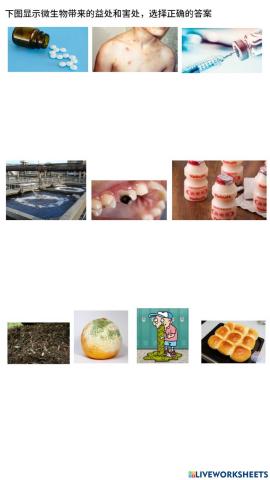 不可小看的微生物