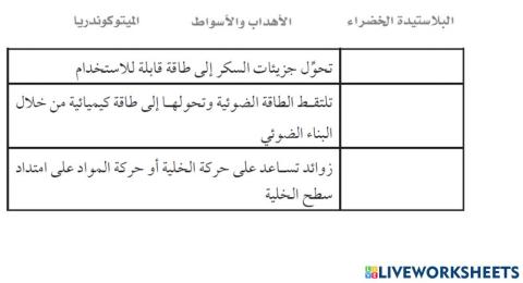 عضيات الخلية 3