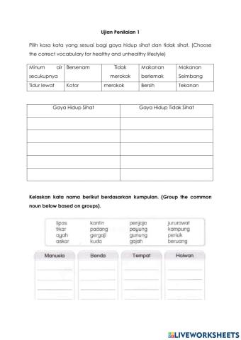 Year 8 Beginner Assessment 1