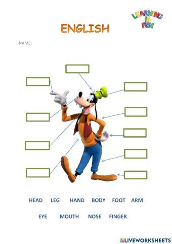 Goofy parts of the body. Drag  and drop.