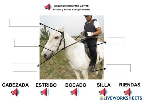 Utensilios para montar a caballo