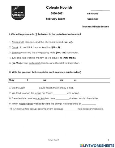 Grammar Exam February