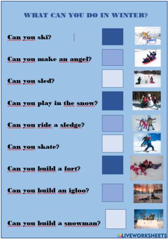 What can you do in winter?