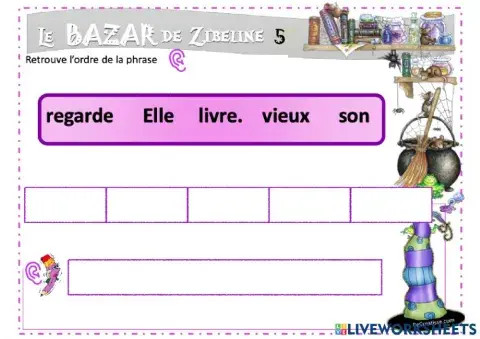 Le bazar de Zibline 5