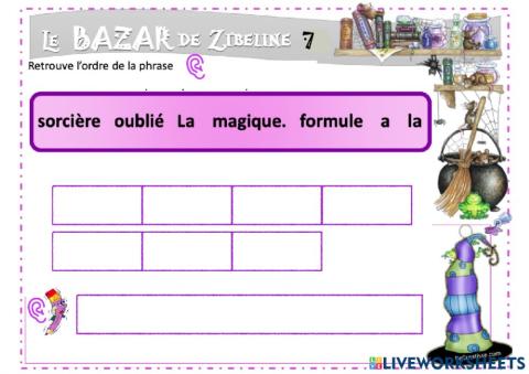 Le bazar de Zibline 7