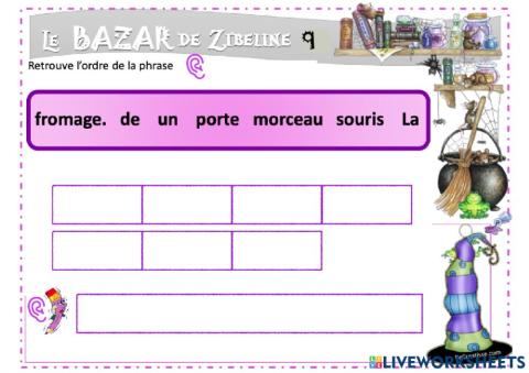 Le bazar de Zibline 9