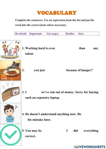 Vocabulary be afraid, get angry, sure, realize, important