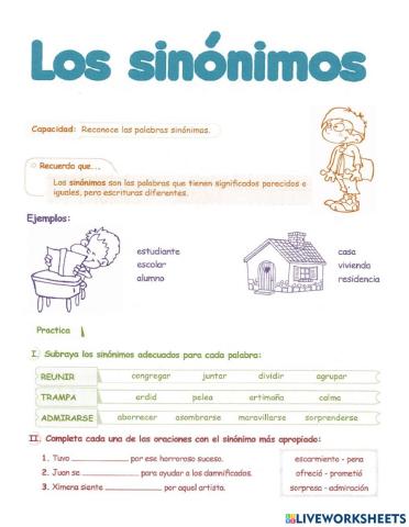 Sinónimos