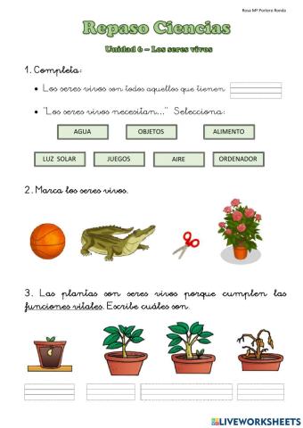 Seres vivos