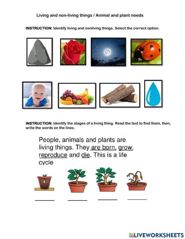 Living and non-living things-animal and plant needs