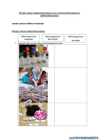 Proses hidup mikroorganisma dan faktor pertumbuhan mikroorganisma