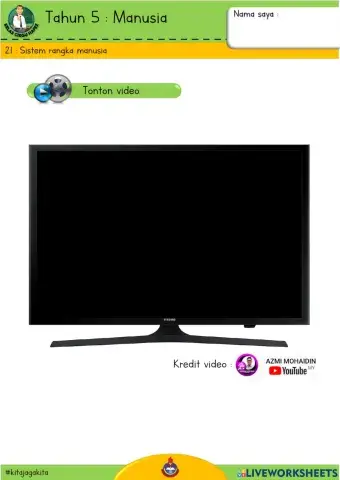 Sains T5 - Sistem Rangka Manusia