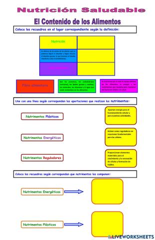 El Contenido de los Alimentos Y La Dieta Correcta y la Salud