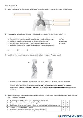 Klasa 7- dział 5 i 6