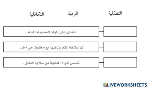تغذية الفطريات