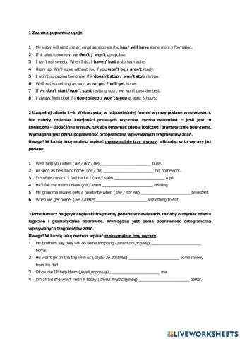 Grammar test kl. 8 conditionals