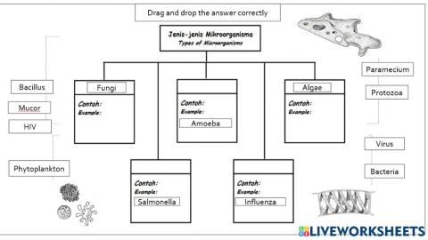 Types of microorganisms