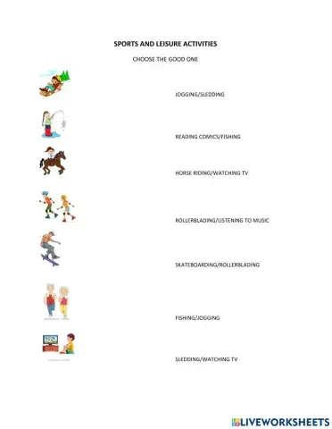 Sports and Leisure Activities