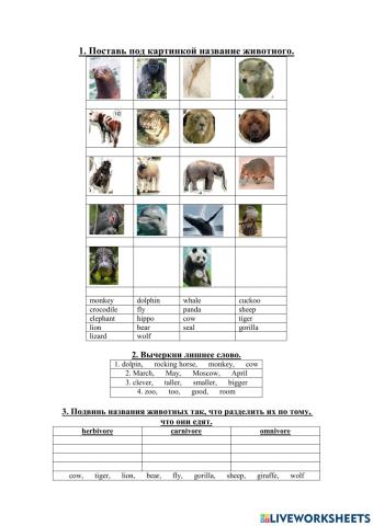 Lexical units - Animals and months of the year