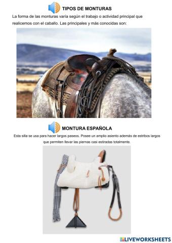TIPOS DE MONTURAS