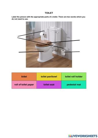 Parts of a toilet