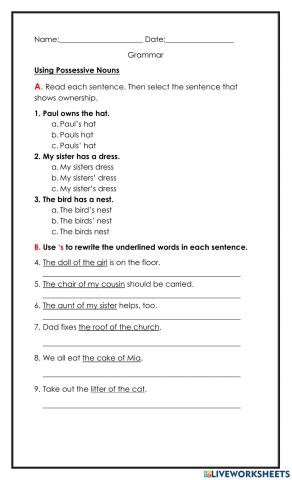 Using Possessive Nouns