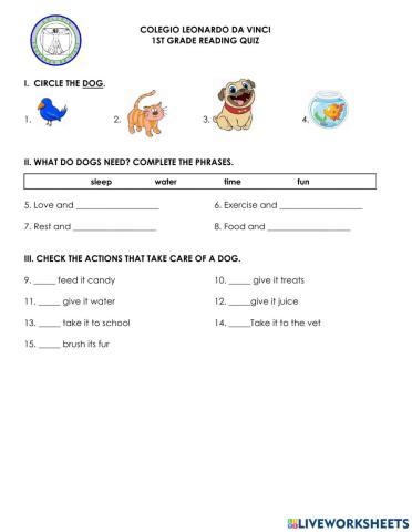 RD1 QUIZ Take Care of Your Dog