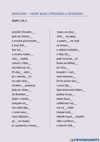 Koncovky - vzory ženského a středního rodu