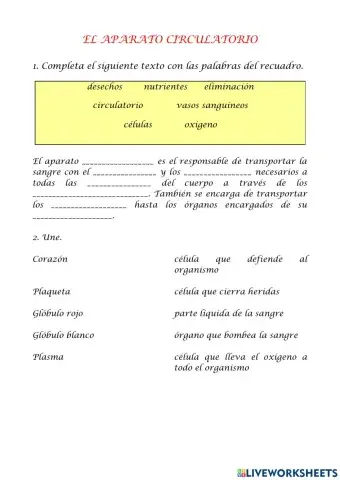 El aparato circulatorio
