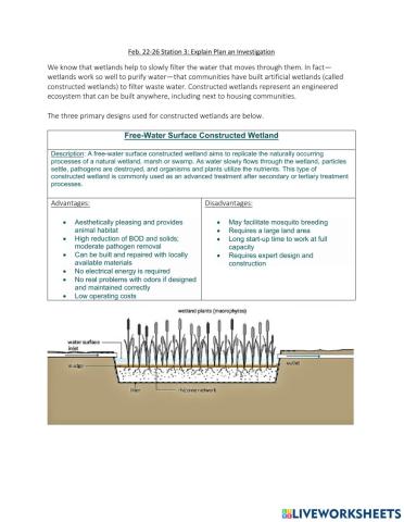 Plan an Investigation-Wetlands