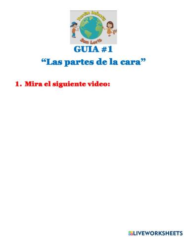 Partes de la cara