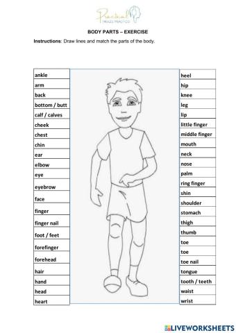 Body parts - exercise