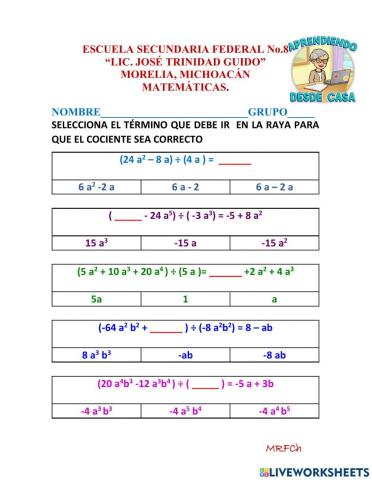 Polinomio entre monomio