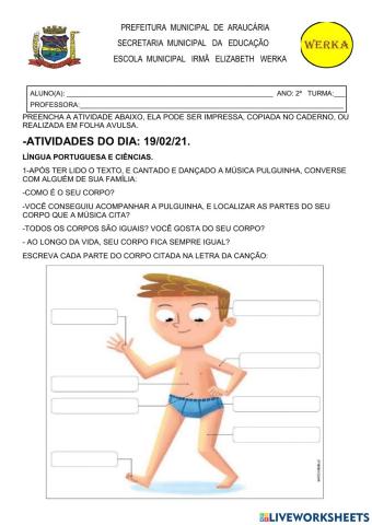 Meu corpo