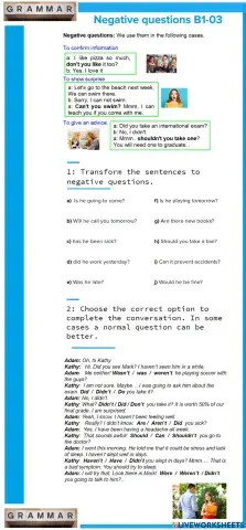 B1-03: negative questions