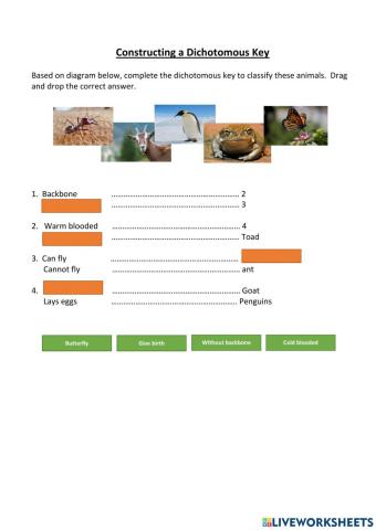 Classification of Organism