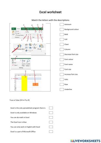 Excel worksheet