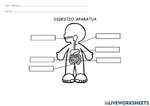 Digestio aparatua