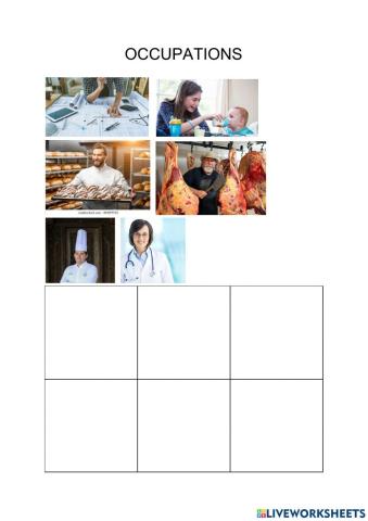 Occupations