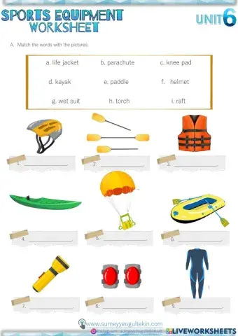 8.6 Sports Equipment