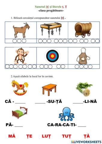 Sunetul ț și literele ț, Ț