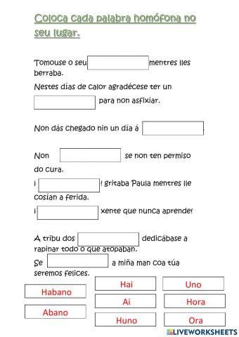 As palabras homófonas