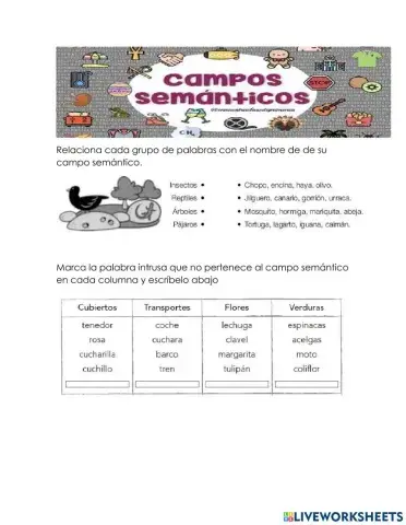 Campo semántico y rimas