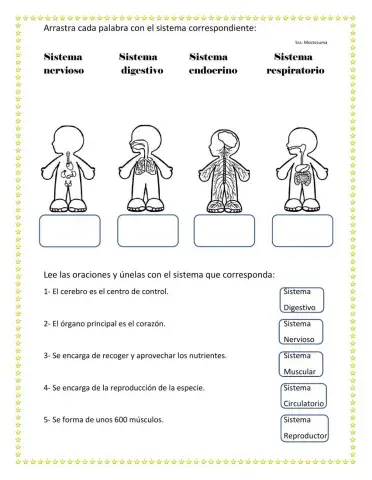 Sistemas del Cuerpo Humano