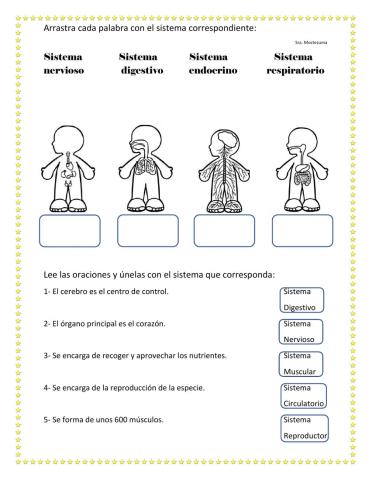 Sistemas del Cuerpo Humano